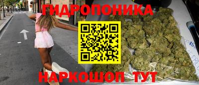 гашик Обнинск