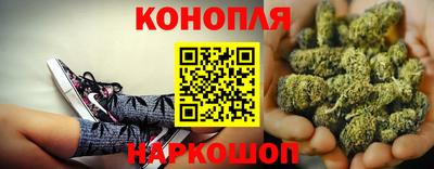 гашик Обнинск