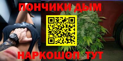 гашик Обнинск